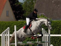 img-98791-579